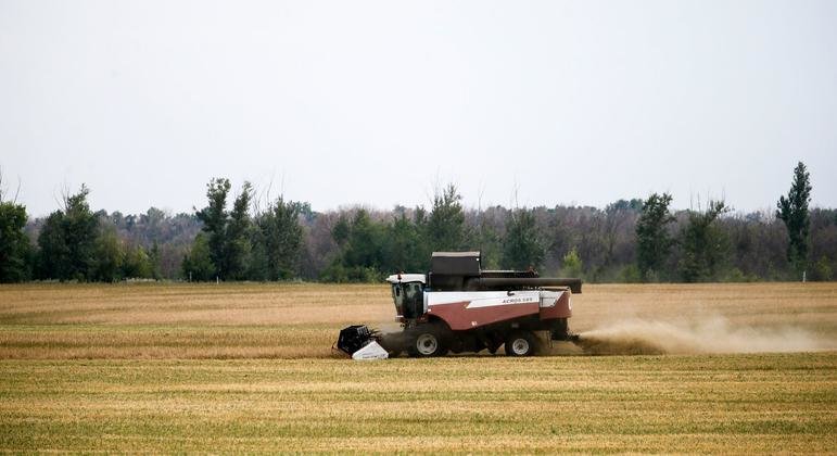 Ukraine : la guerre met en péril les approvisionnements mondiaux des céréales et la sécurité alimentaire  - FIDA